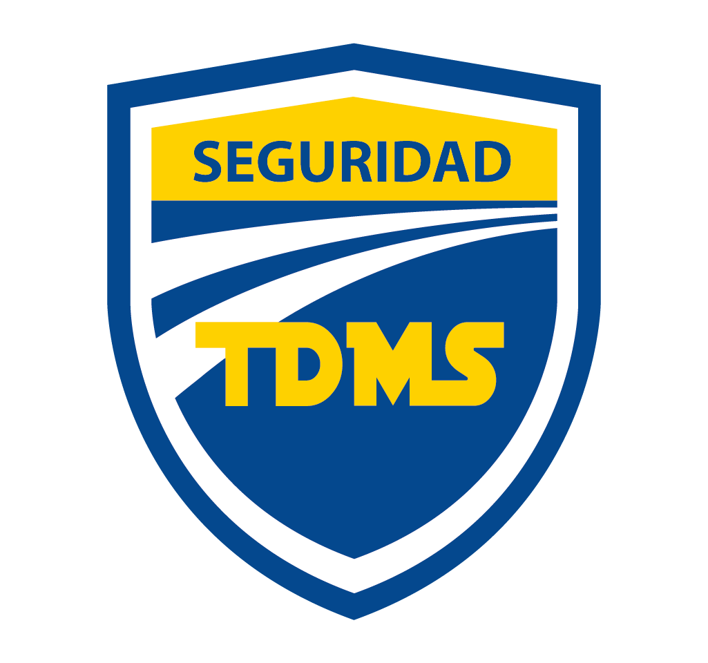 Seguridad TDMS